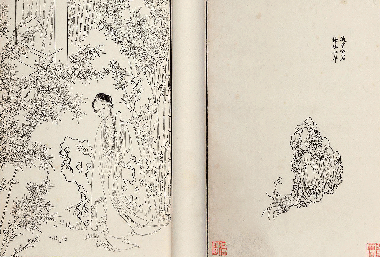 蒲草，或即《红楼梦》里的绛珠仙草 - 知乎