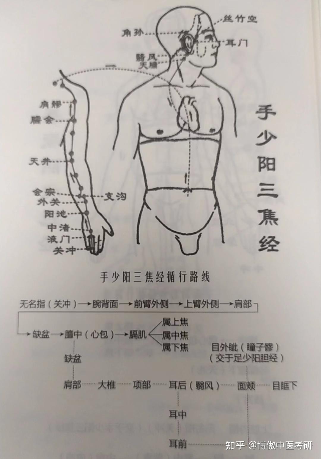 十二经脉循行路线图 - 知乎