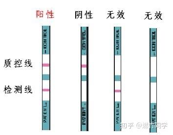 hiv测试纸是什么原理_幸福是什么图片(2)