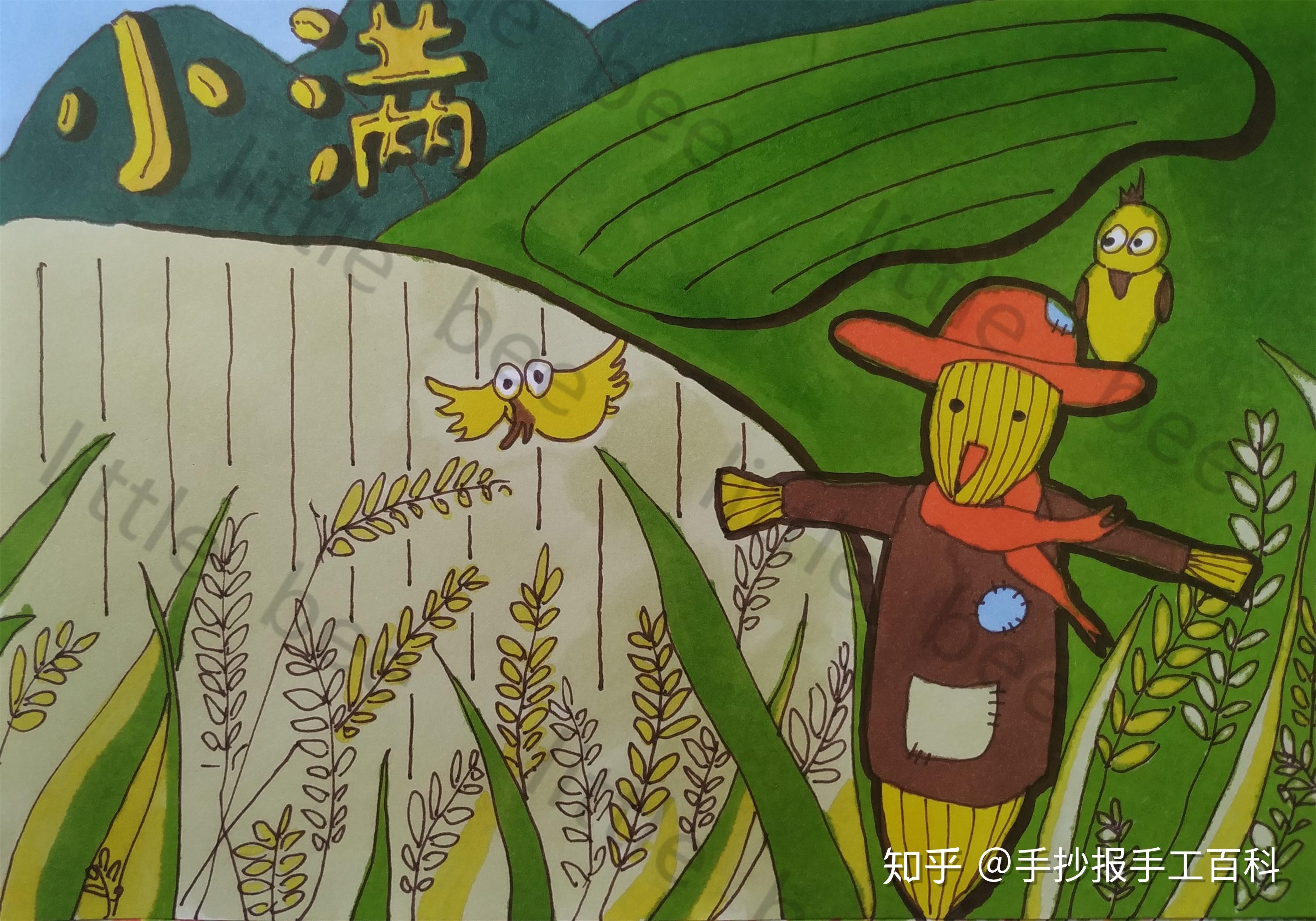 小满手抄报24节气手抄报