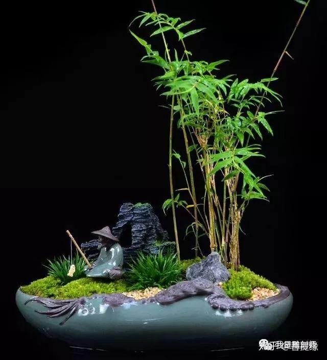 在中国古典文人画里,只要有竹子出现的地方,无须他物,简洁的一丛孤竹