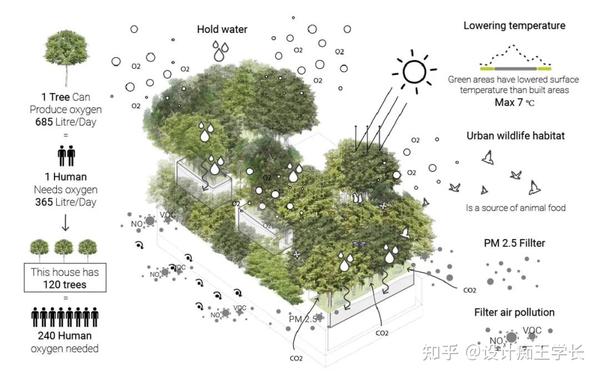 设计留学 | 植物分析与植物表现,都有哪些常见的形式? - 知乎