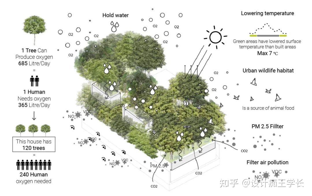 设计留学 | 植物分析与植物表现，都有哪些常见的形式？ - 知乎