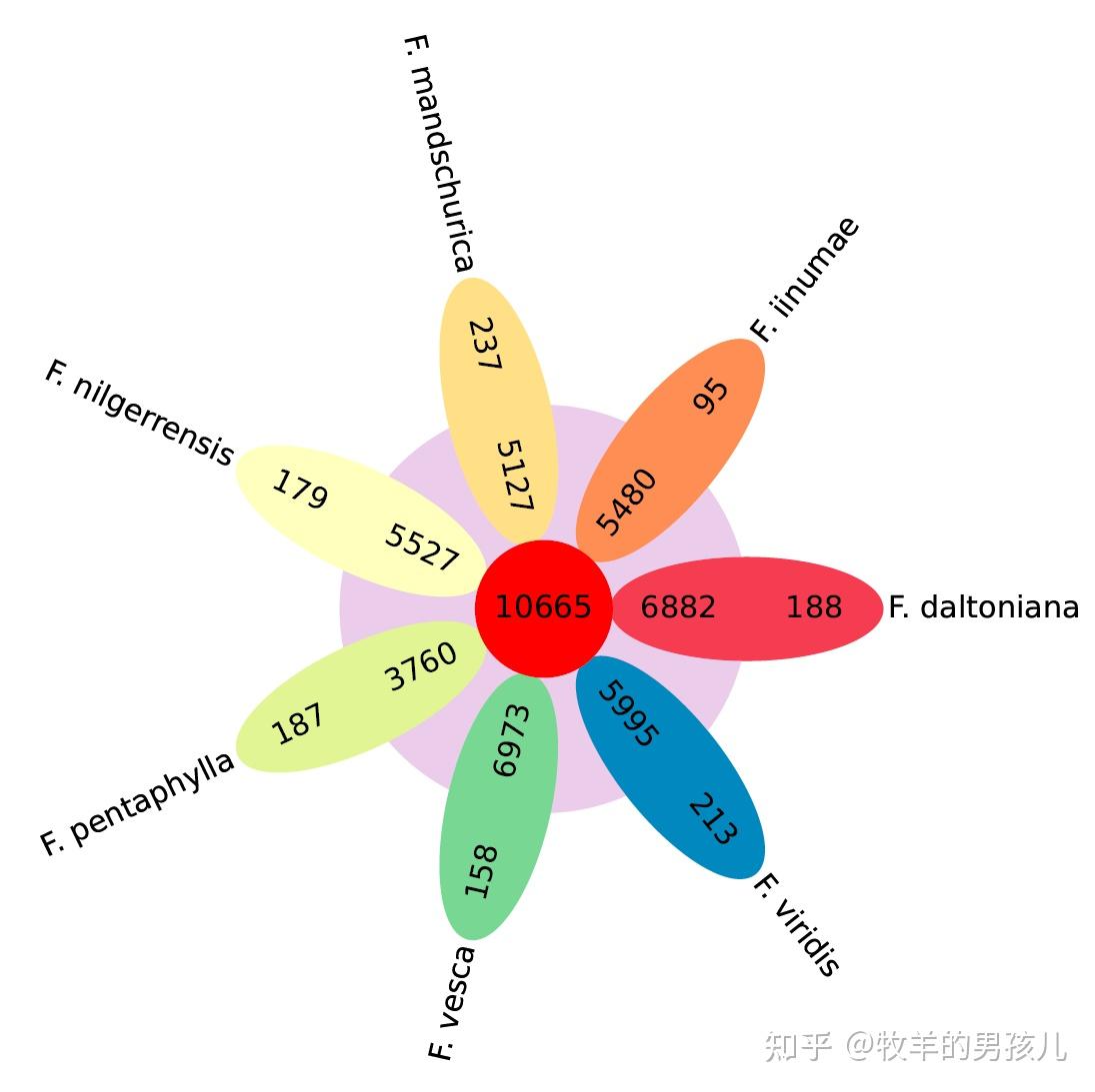 跟着PNAS学作图：python做花瓣图（flower plot）展示草莓泛基因组的数据 - 知乎