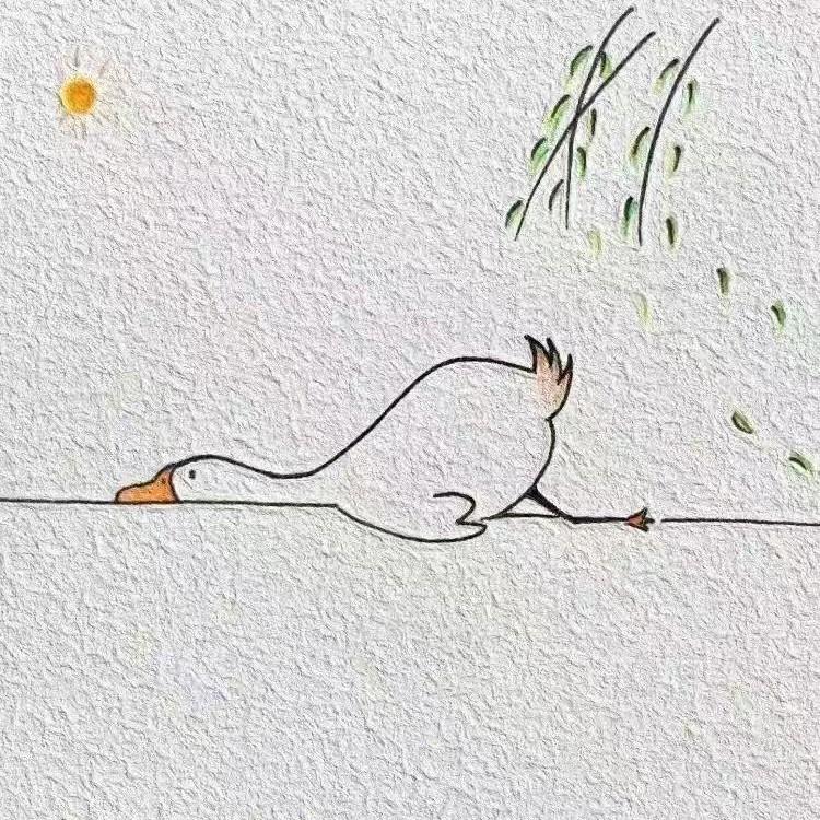 爱上豆腐脑