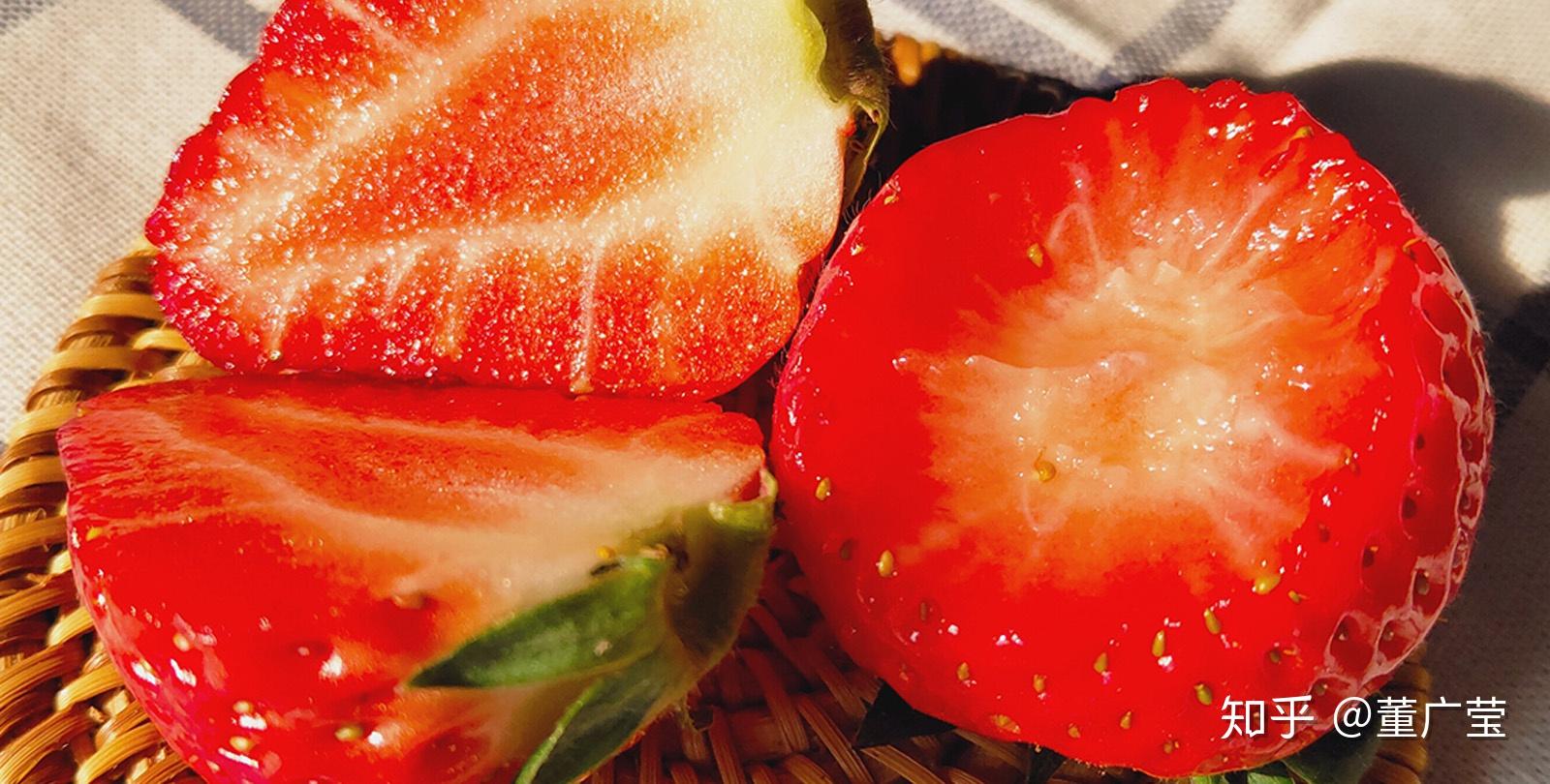 吃草莓的季节 - 哔哩哔哩