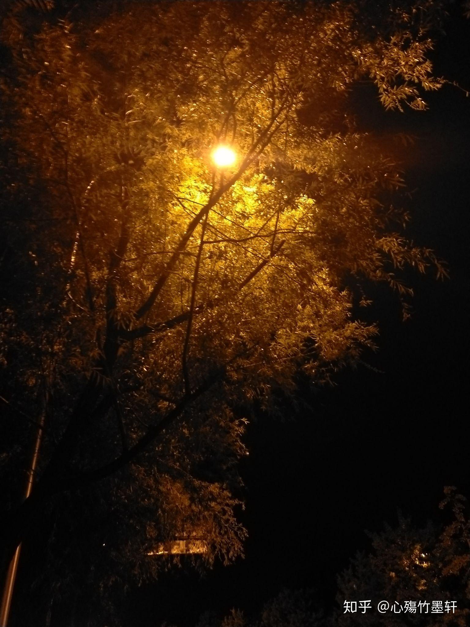 单个路灯图片 夜景图片