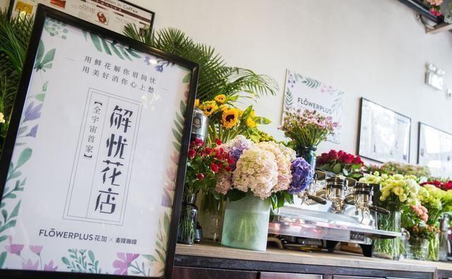 漂洋过海来看你flowerplus花加解忧花店从魔都到帝都