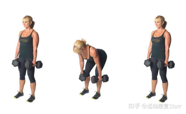 最佳腰背部训练和拉伸指南 给你强壮无痛的背部 知乎