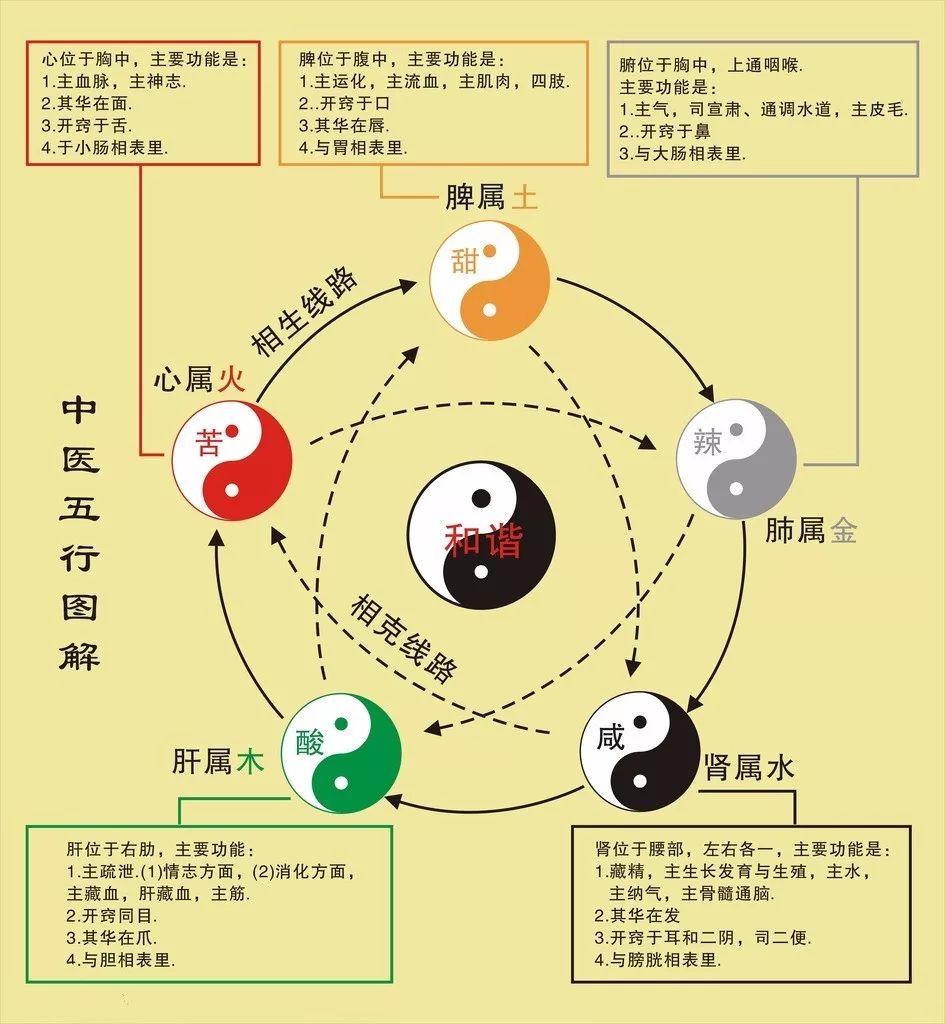 一文读懂五行学说 - 知乎