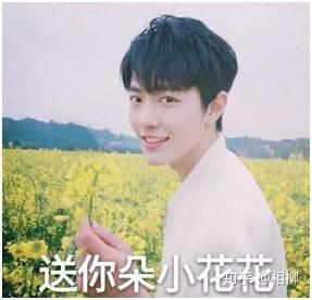 怎么能当肖战的助理?