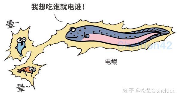 山是怎么形成的动画 v2-7de45b6d09b90839a6bea79f726bdebb_r.jpg