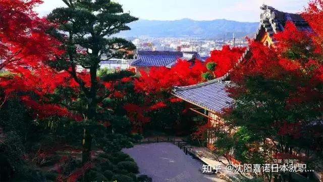日本十个美丽庭院,你都知道哪些? - 知乎