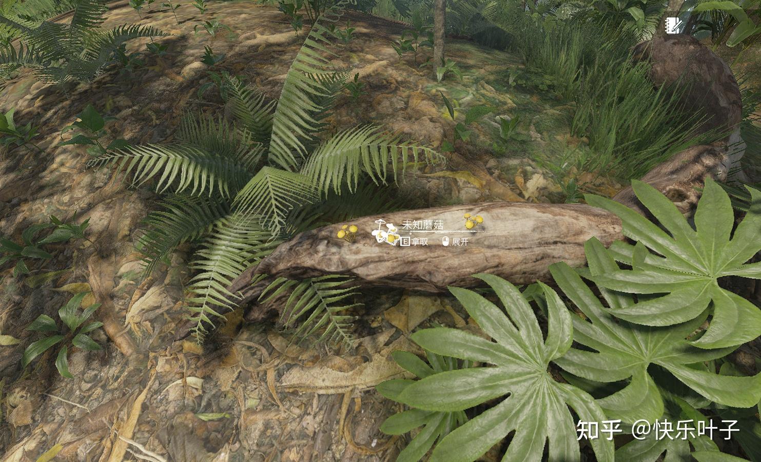 green hell《绿色地狱》主要植物及食用效果(新手向)