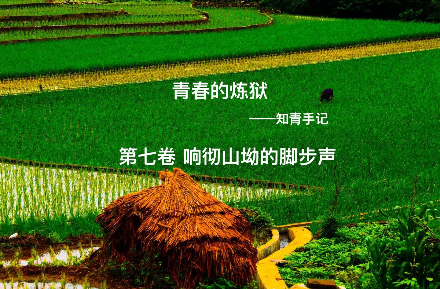 第七卷响彻山坳的脚步声第二章 知乎