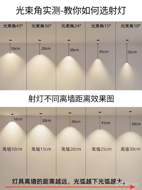 阳光高考网官网登录入口  百度知道