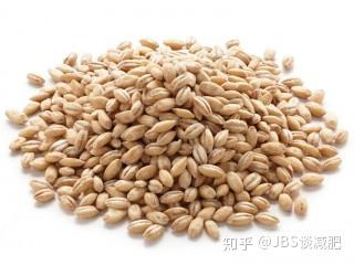 v2-7e2b5a9cdb46cd105f3fa30d59e3cd2b_b.jpg