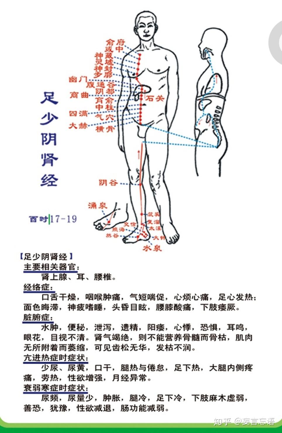 大腿内侧经络是什么经图片