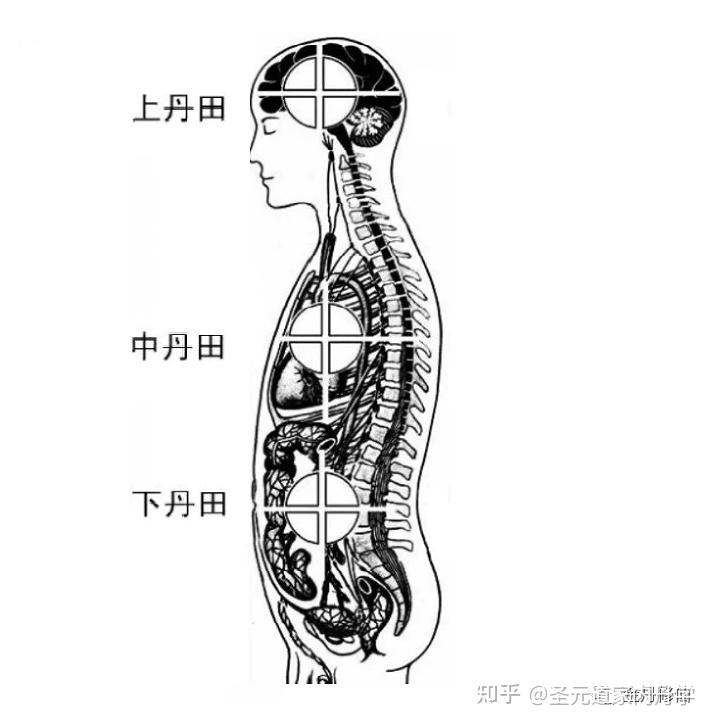 意守下丹田的奥秘 - 知乎