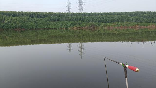 野钓必须钓底吗？这几种情况只有钓浮才能爆护，大家千万别搞错 - 知乎