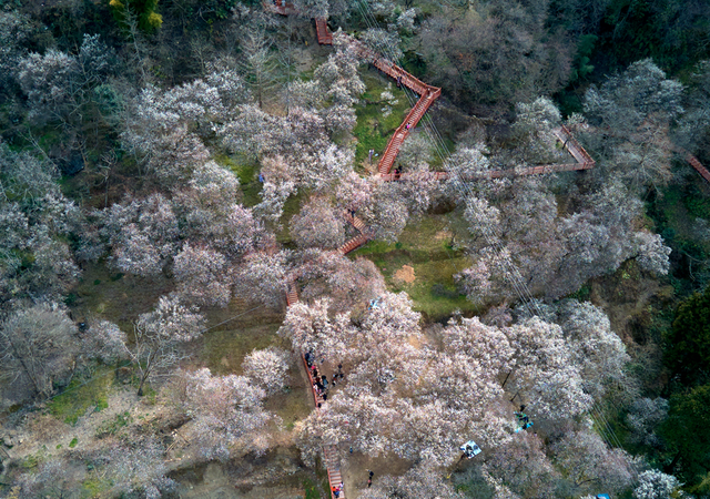 导航:百度地图或高德地图目的地输入"桅杆坪"直接导航到梅林核心景区