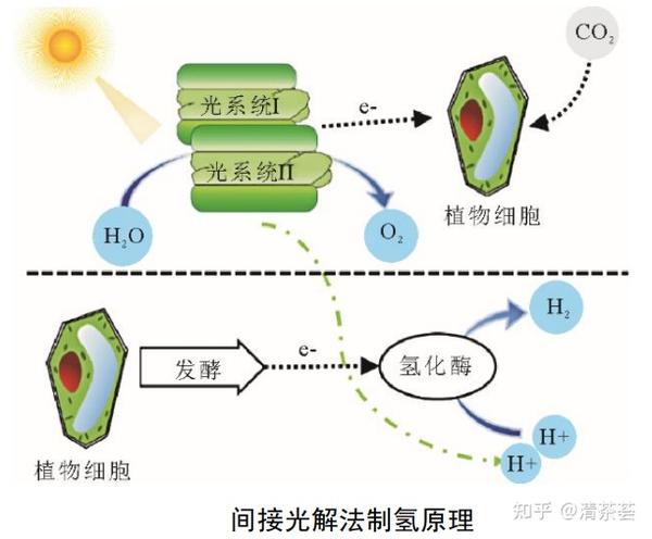 生物质制氢 - 知乎