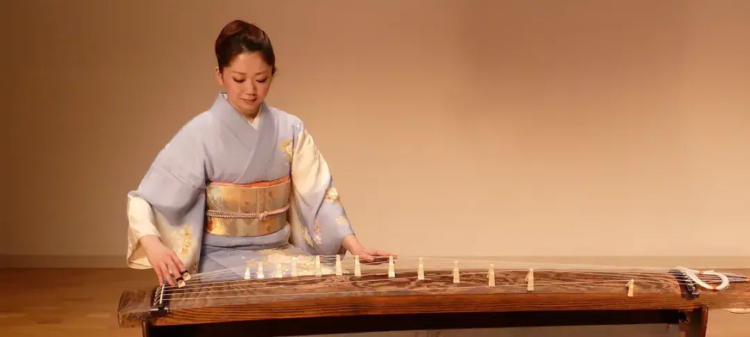 箏 琴 koto 180cm 13弦 和器 日本文化 引取り限定