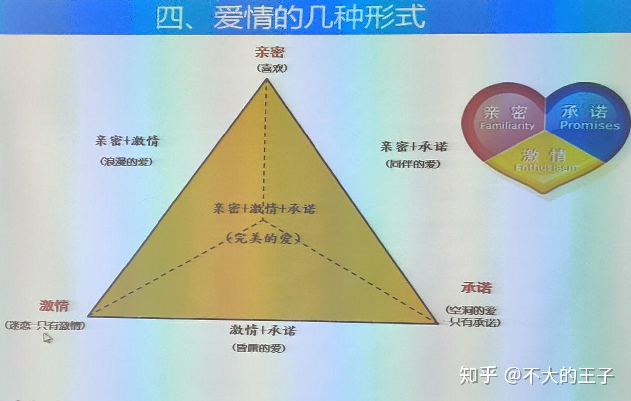 傲慢与偏见简单关系图图片