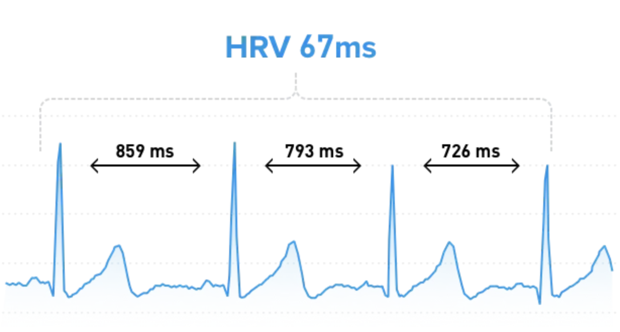 关于使用apple watch 测量hrv,你需要知道的结论