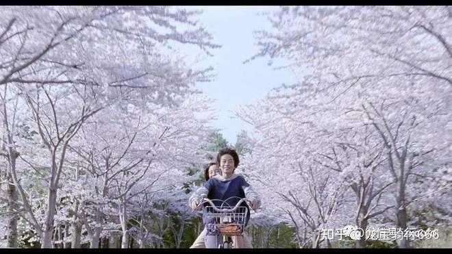 铃和风太在樱花隧道上骑自行车的,是《海街日记》里很经典的场景.