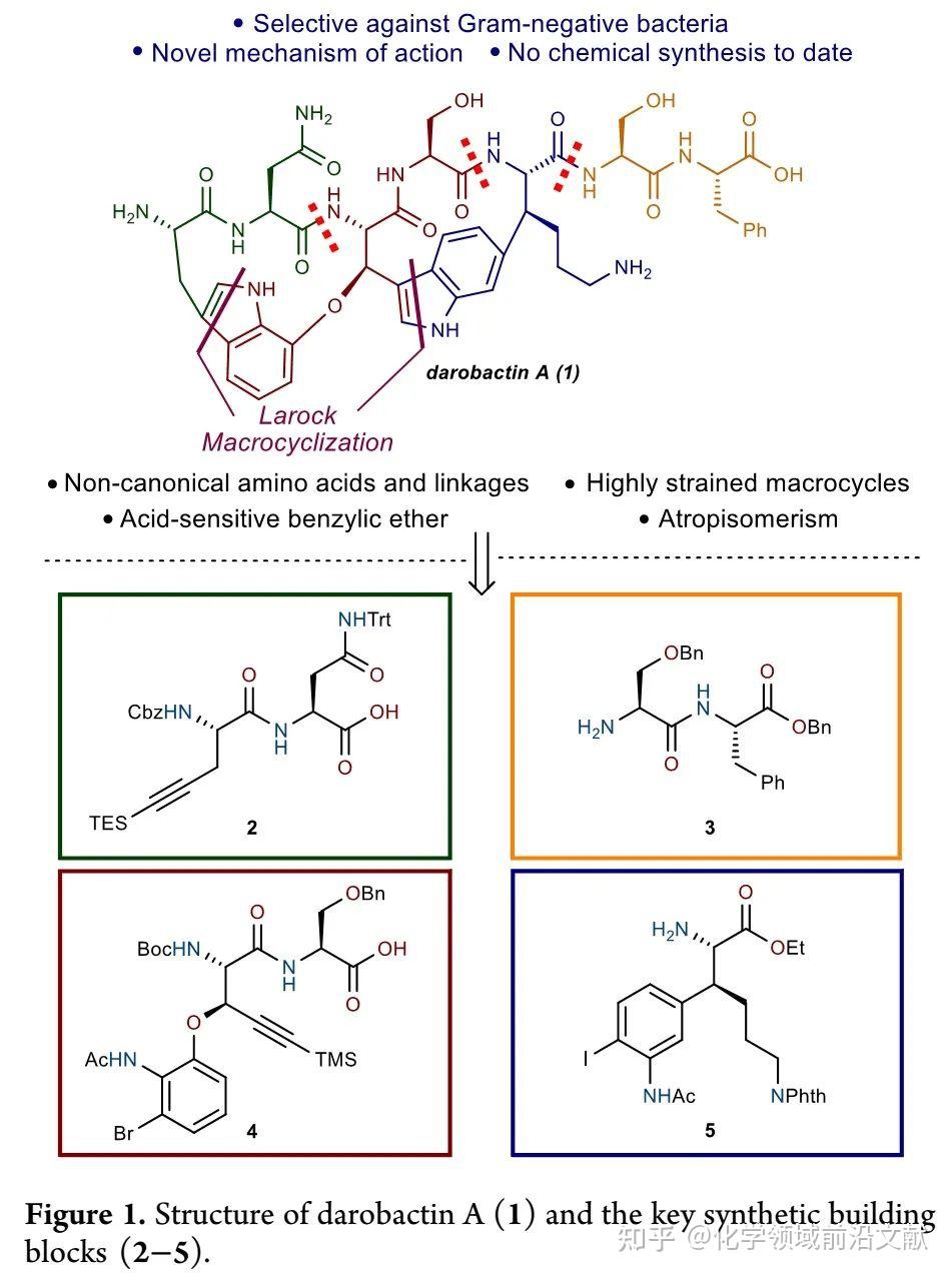 抗生素Darobactin A全合成方法1：Sarlah组和默克公司产学研合作成果 - 知乎