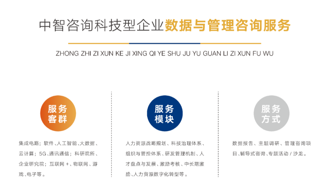 中智咨询数字科技事业部