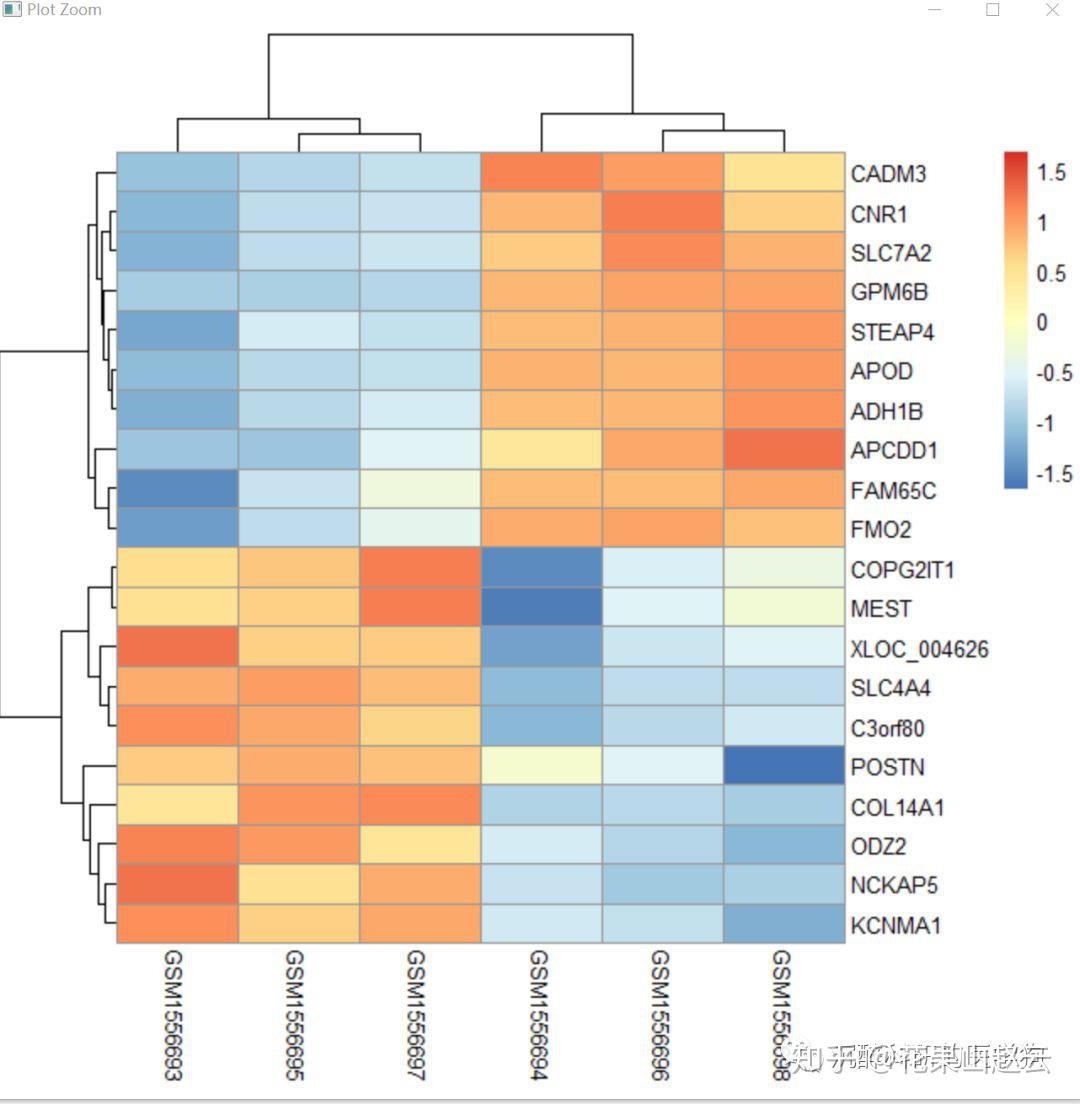 矩阵已经存放在电脑的剪切板中,回到rstudio,随后,复制excel里的表达