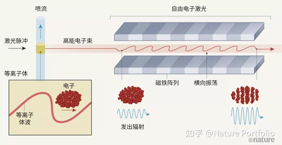 自由电子激光产生的辐射来自于穿过波荡器(undulator)的高能电子束,波