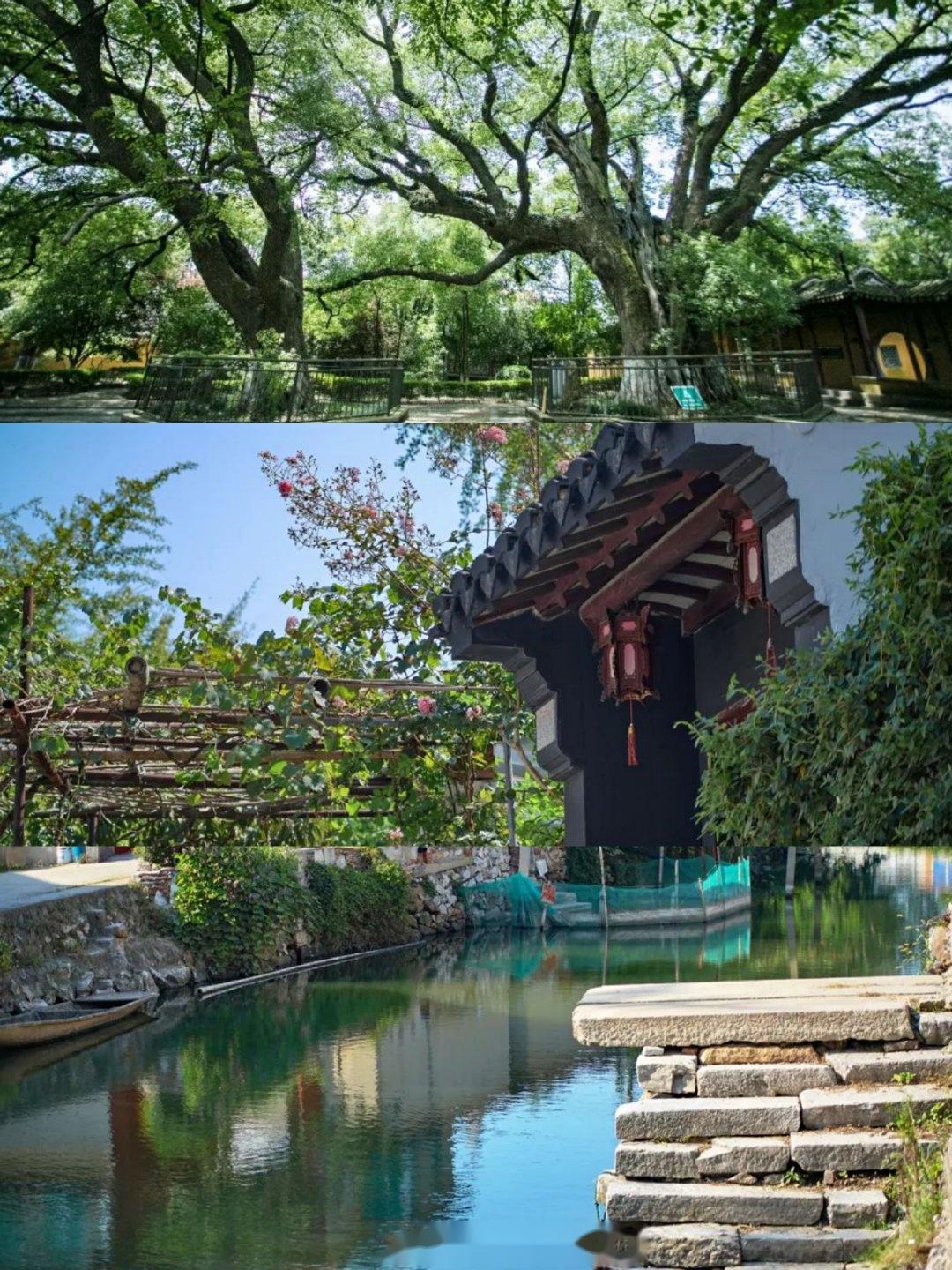 蘇州旅行太湖西山島的10大景點