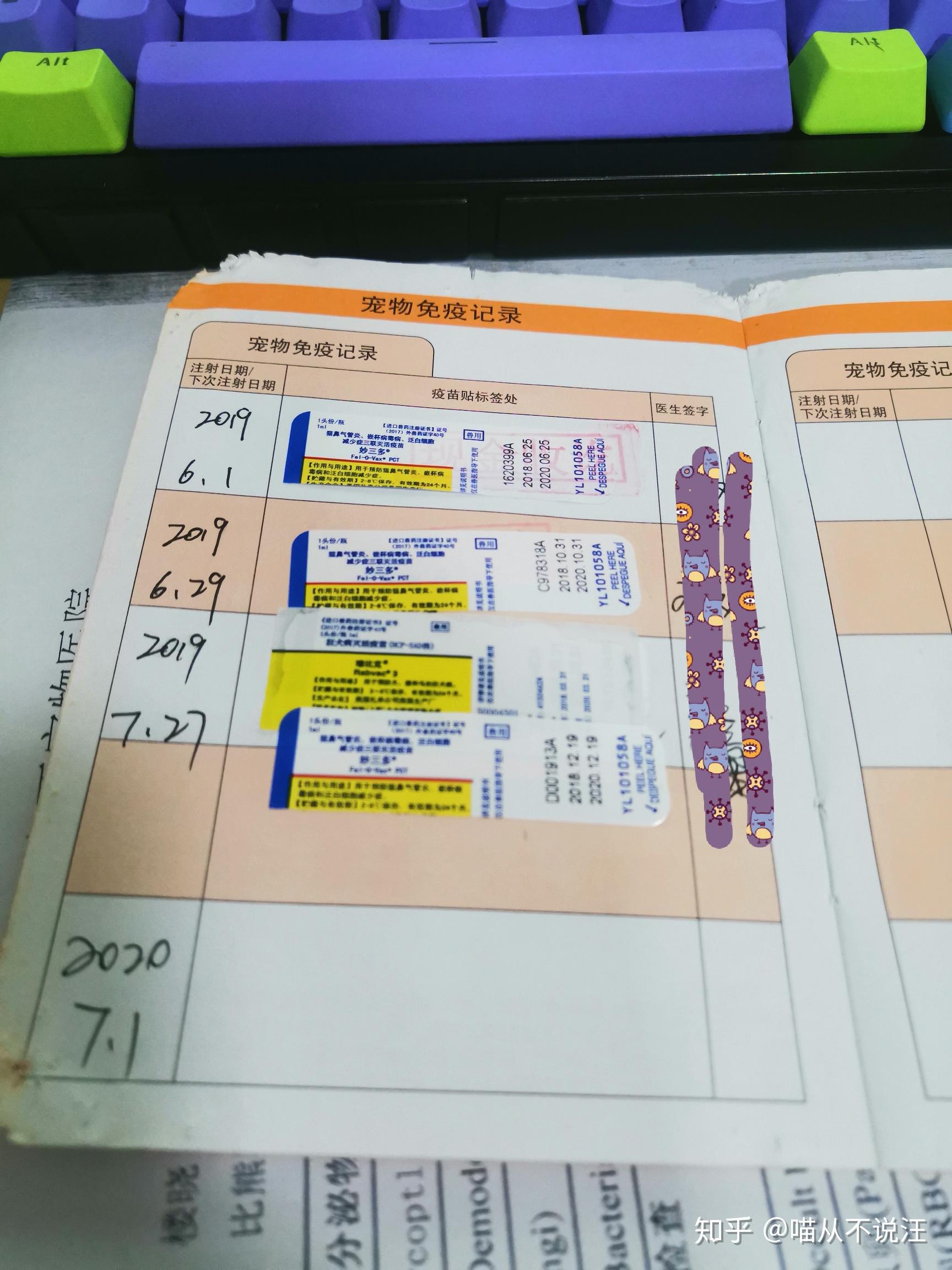 科学吸猫系列免疫关于猫的疫苗你想知道的都在这里面