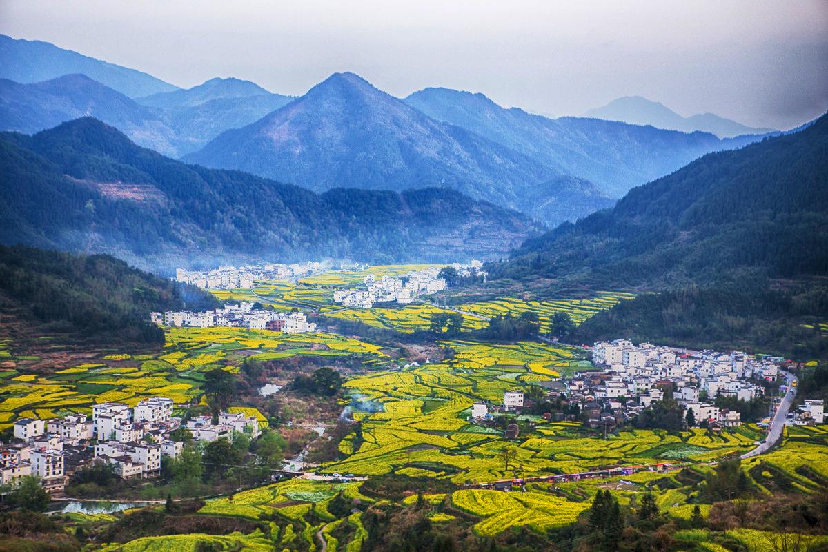 盘点国内15大最美油菜花海观赏地 - 知乎
