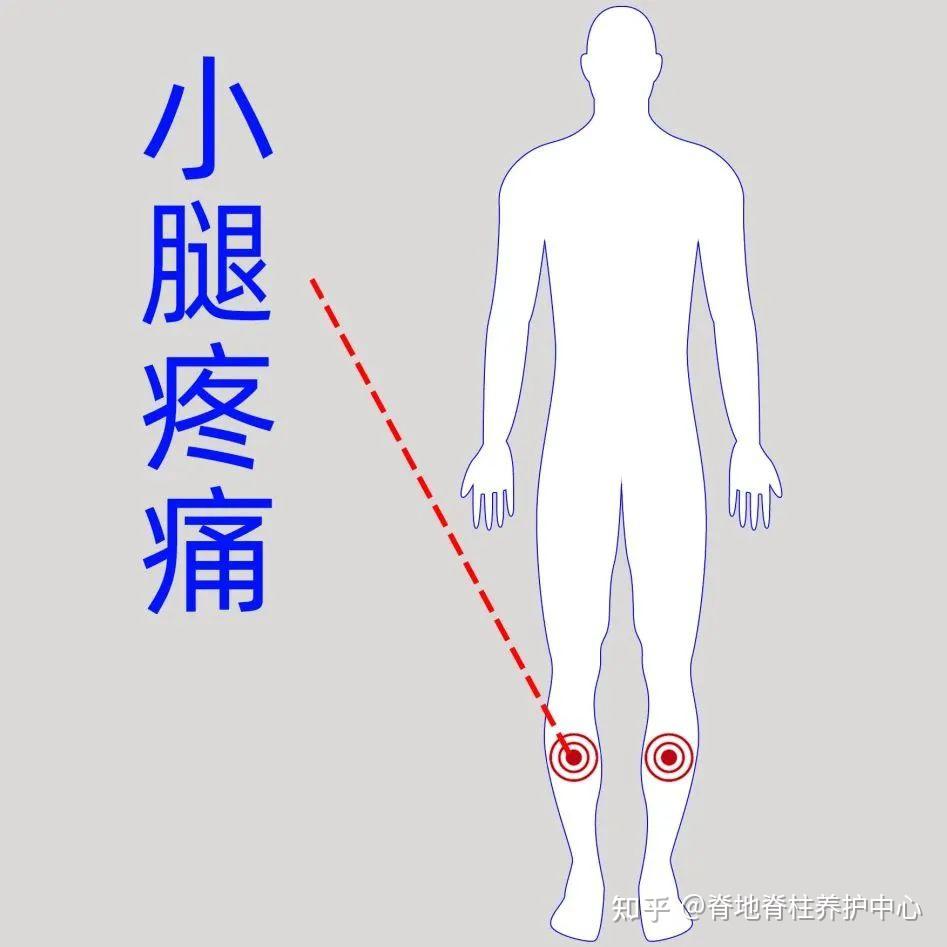 小腿前面疼图片