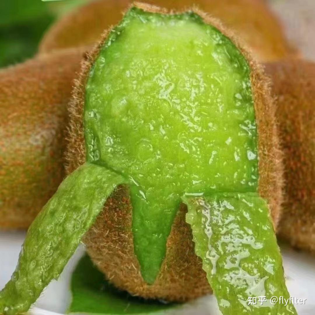 猕猴桃品种简介 - 知乎