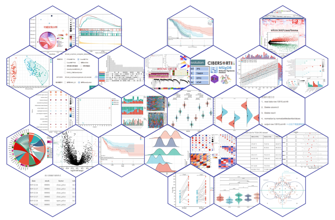 Openbiox 2023 开源之夏项目一：Hiplot (ORG) 在线绘图网站 ChatGPT 辅助接口实现和统计工具开发 - 知乎