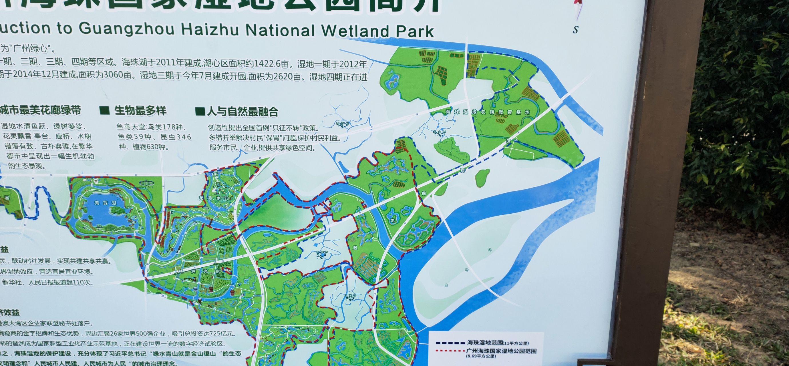 广州散步推荐海珠湖和湿地公园