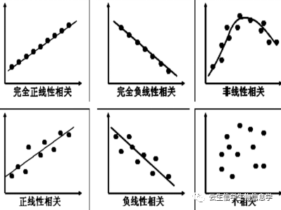 【小云解读生信图】加更啦！第三波，相关性分析散点图走起 - 知乎