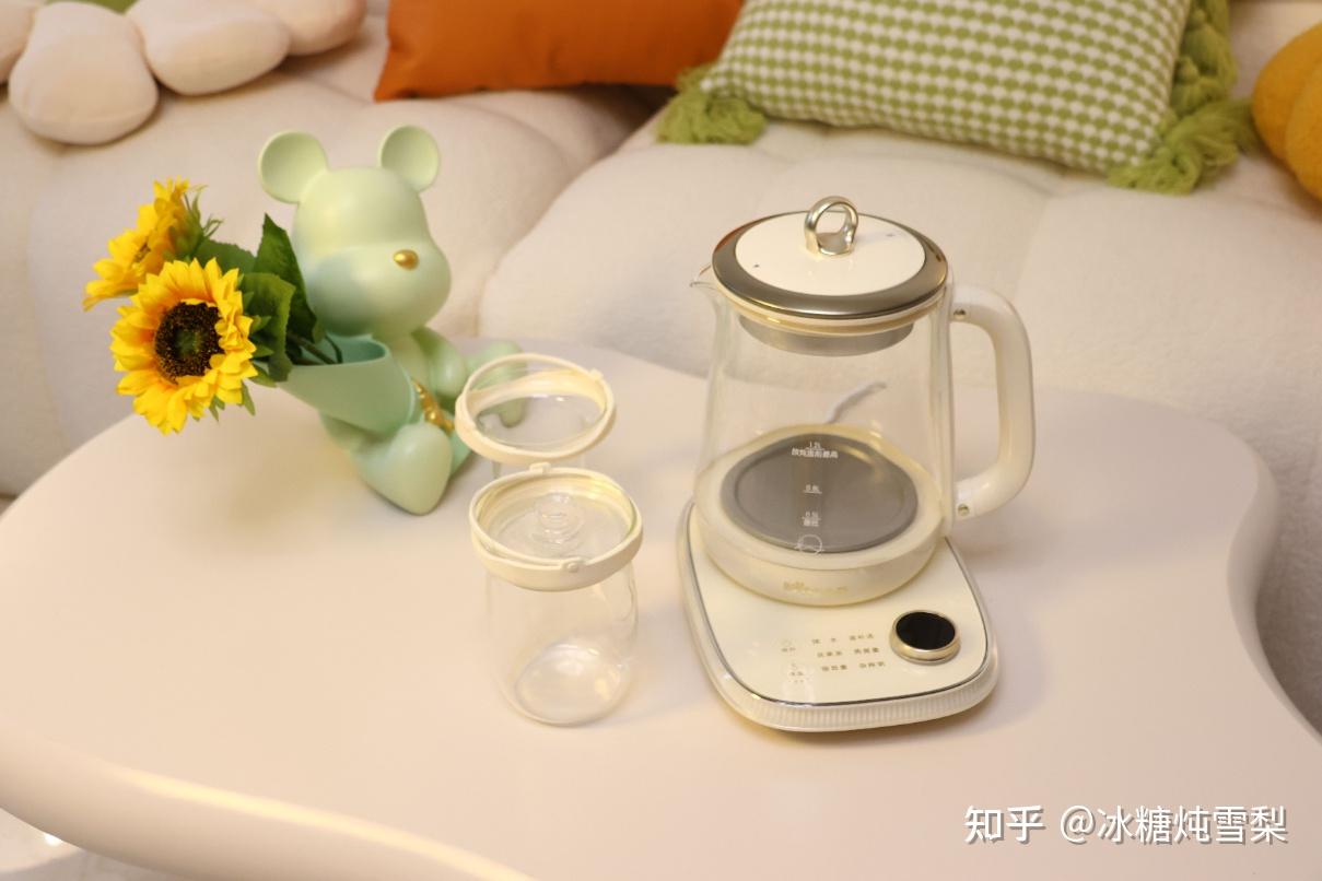 2023年养生壶推荐:平价养生壶什么牌子好?小熊、苏泊尔、美的、北鼎、九阳、小米等8款养生壶对比推荐 - 知乎