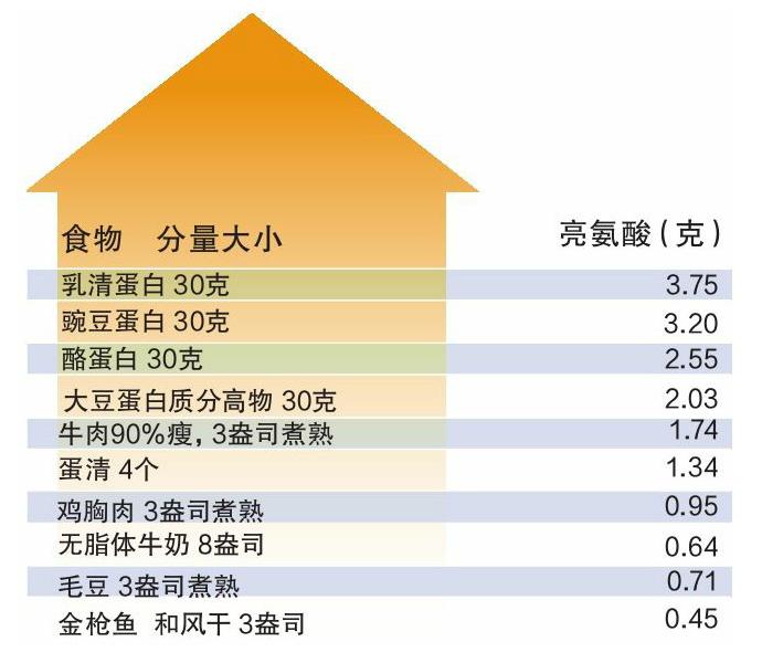 力量训练抗阻训练的营养学Ⅲ每日膳食摄入如何对肌肉产生影响