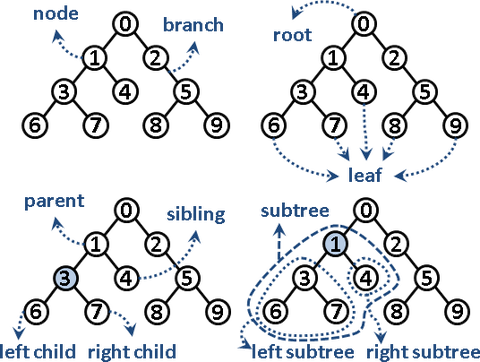 二叉树&树(Binary Tree & N-ary Tree) - 知乎