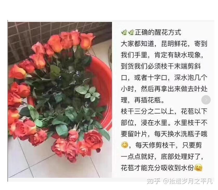 玫瑰花醒花步骤图片