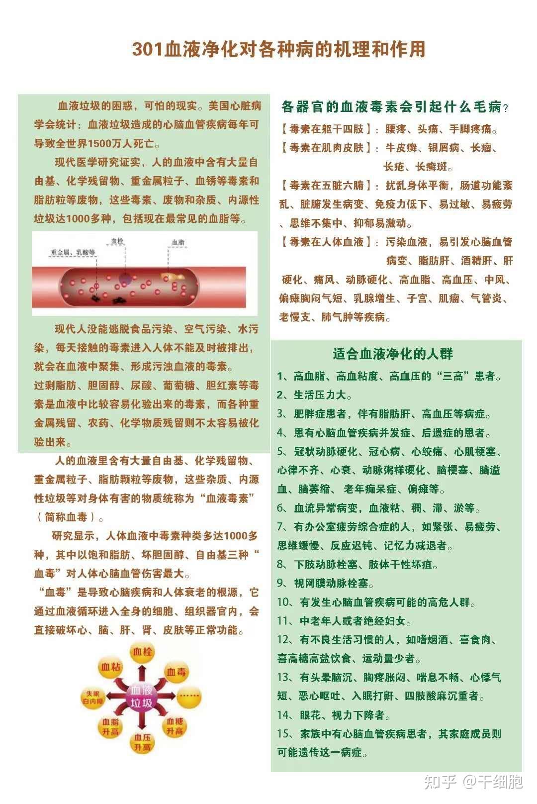 血液净化排出血液毒素让你快速回归健康与青春