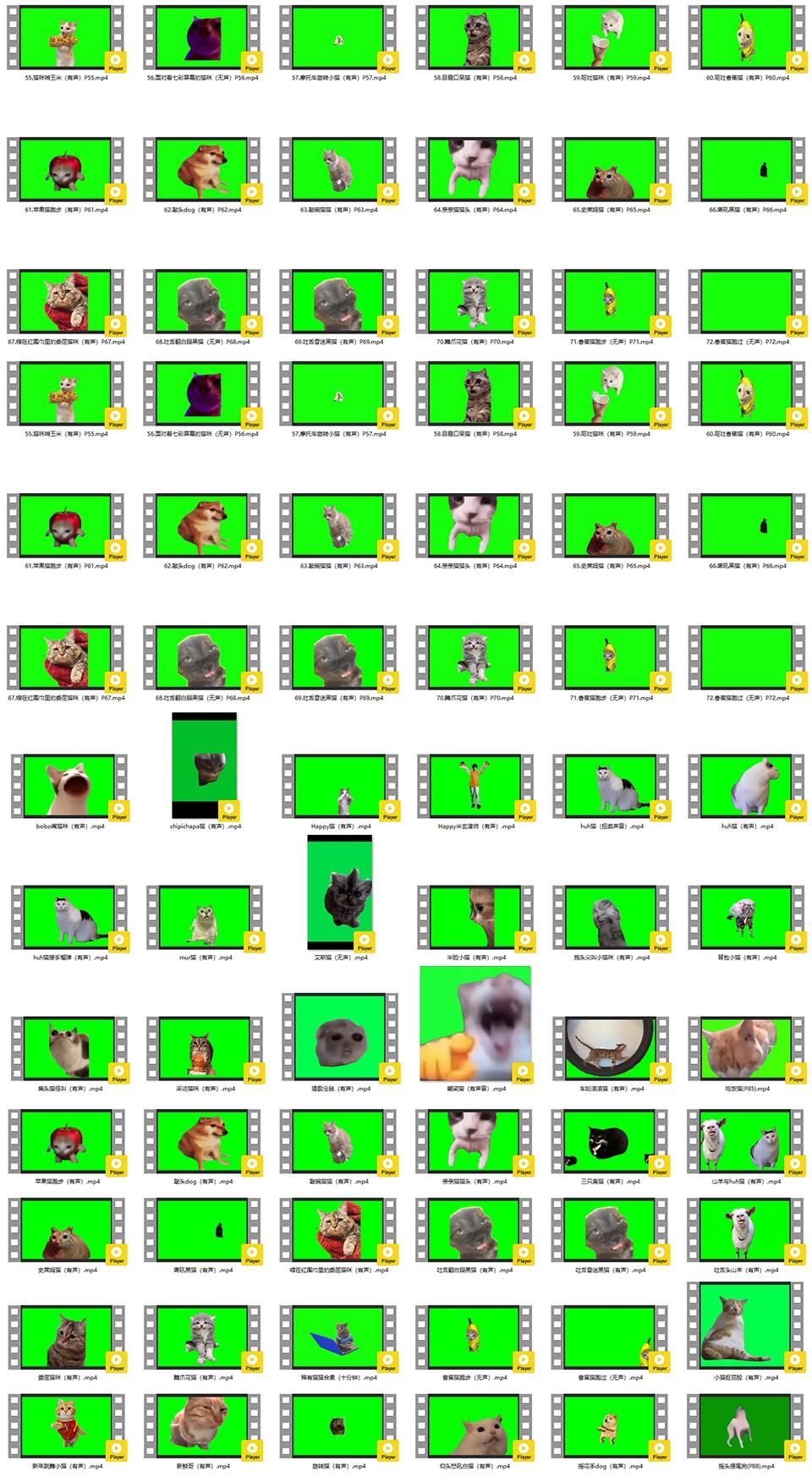 2025猫meme狗meme视频绿幕素材大合集- 知乎