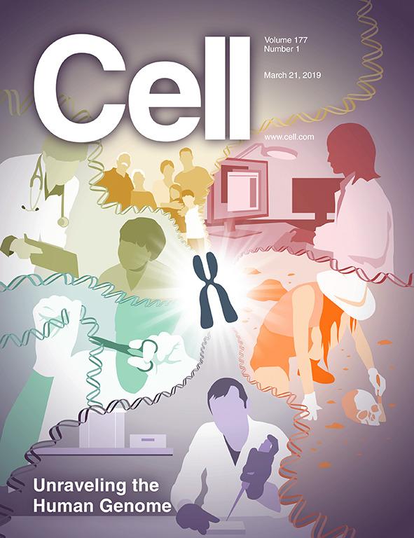 科学与艺术的结合！《CELL》100+张期刊封面鉴赏｜2019年篇 - 知乎