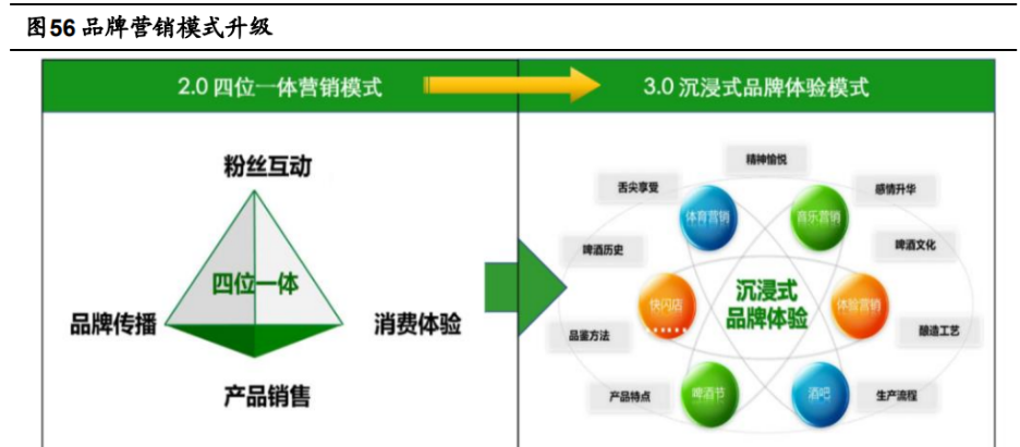 3. 積極開拓新興渠道,品牌營銷模式持續升級